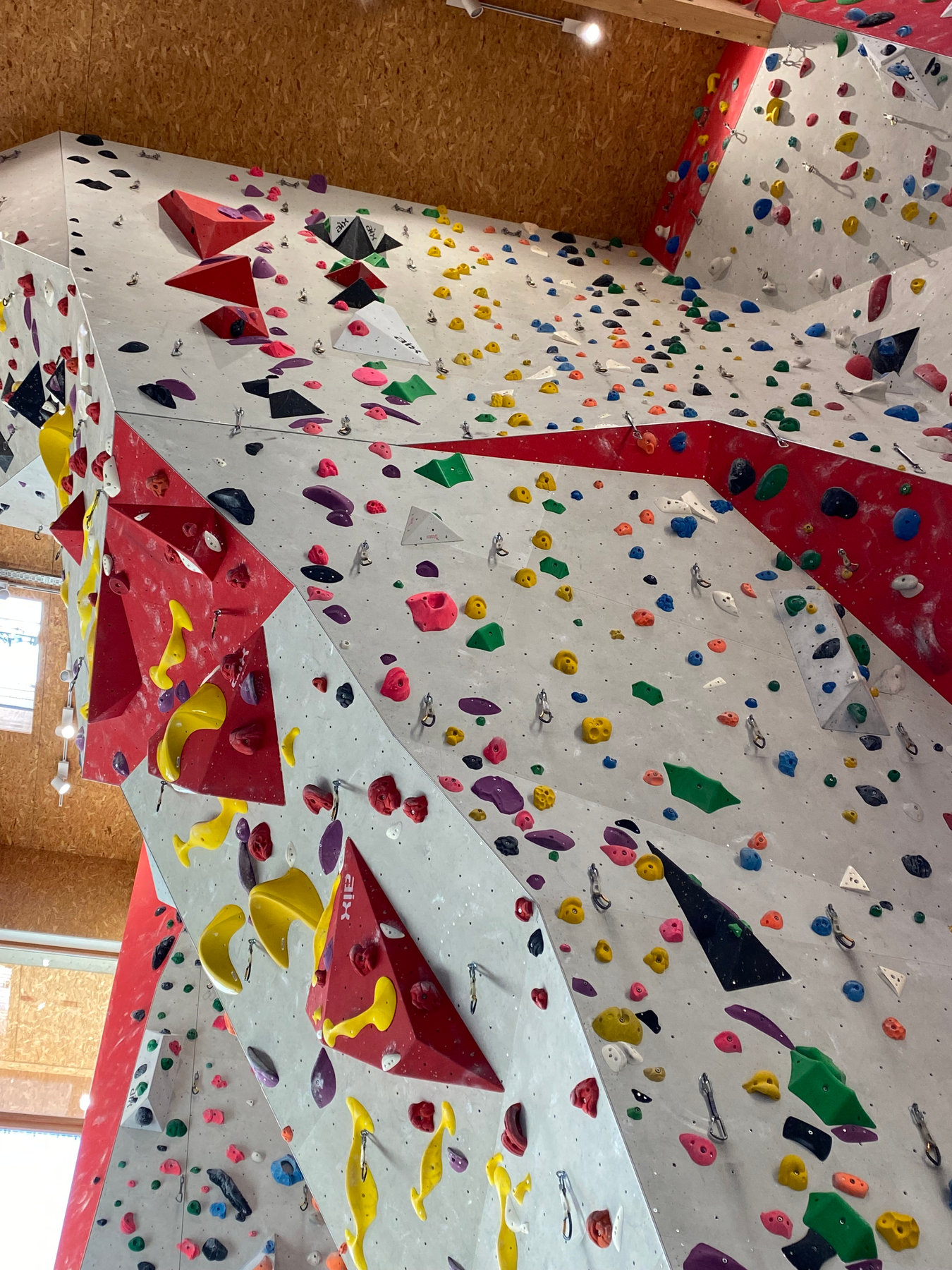 Die hohe Kletterhalle im KletterZ’ mit roten Wandflächen und vielen bunten Routen.